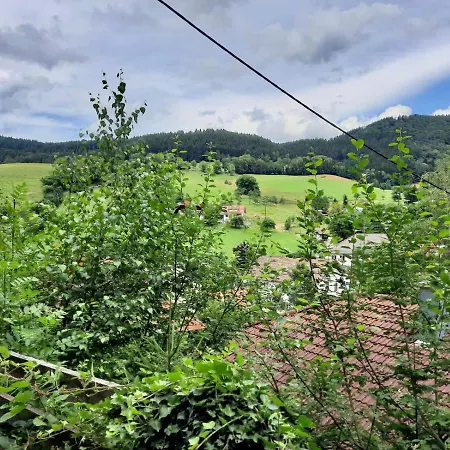 Bubble Tent Glamping In Elzach Im Schwarzwald Elzach